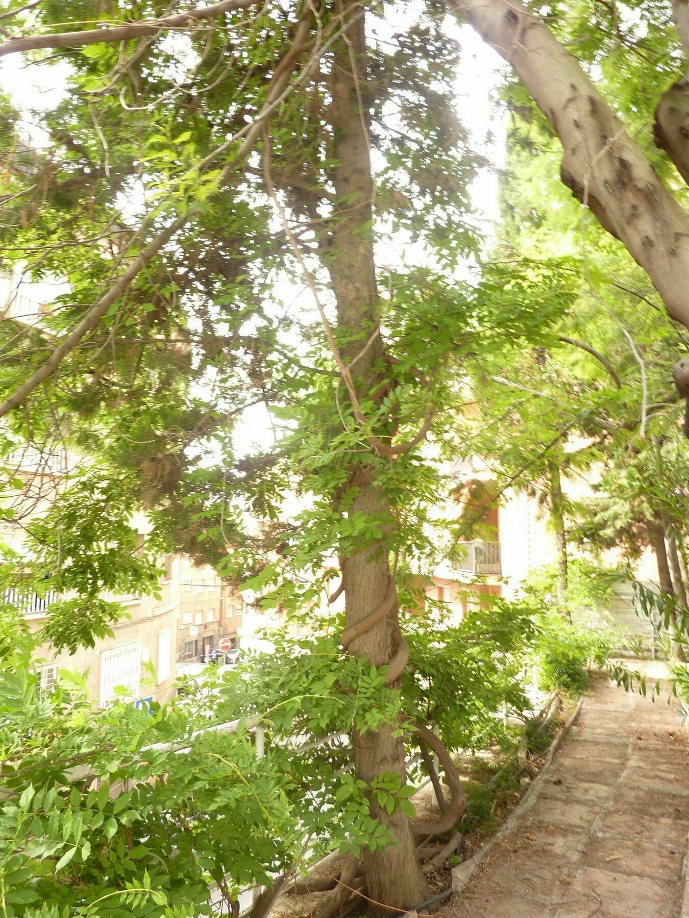 Casa Vilaro Barcelona Luaran gambar